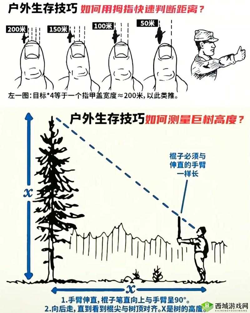 荒野求生必备新技能，一分钟掌握听声辩位，深度揭秘小地图中的隐藏生存奥秘