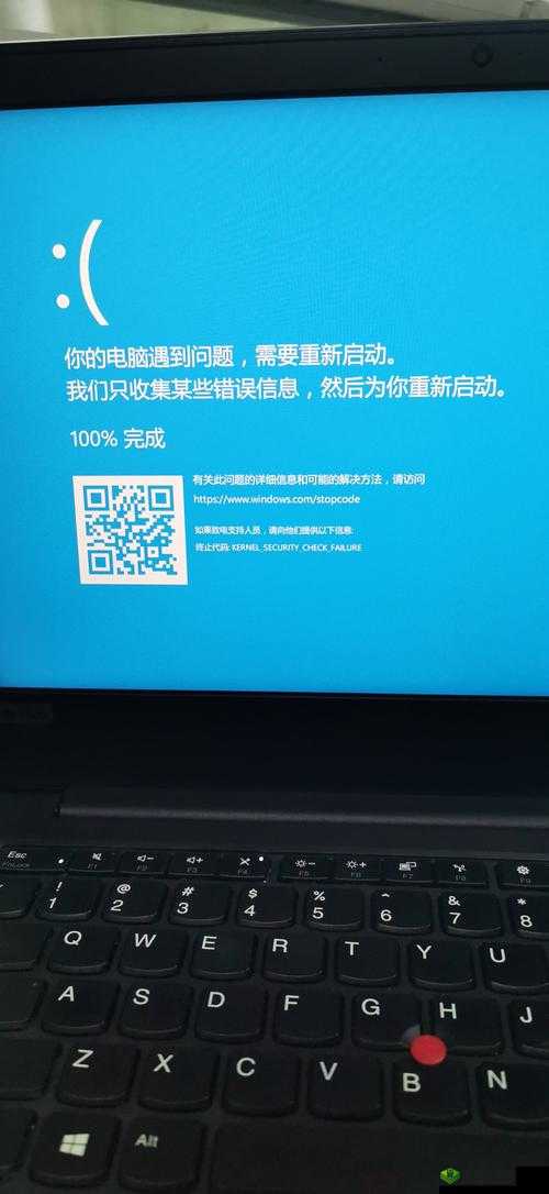 深入剖析终结者2蓝屏闪退问题，探寻游戏运行异常的根本原因
