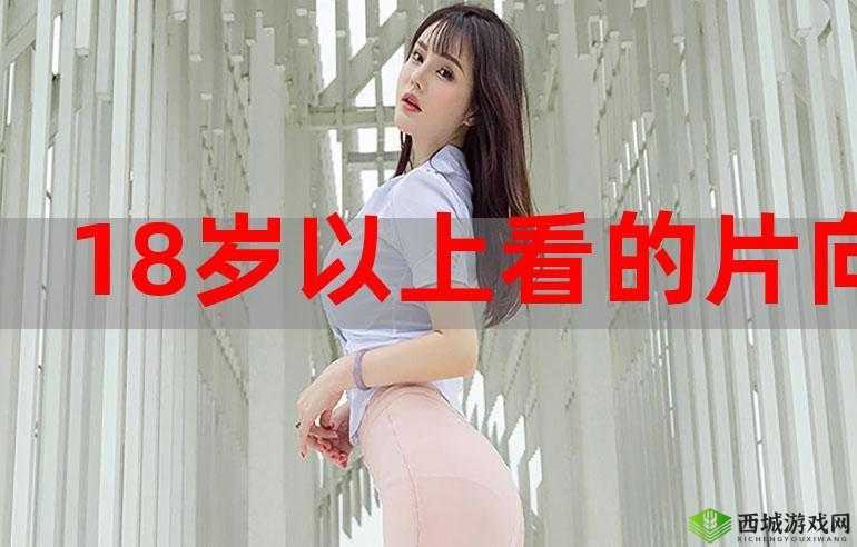 18 岁以下禁止观看的网站相关内容及危害探讨