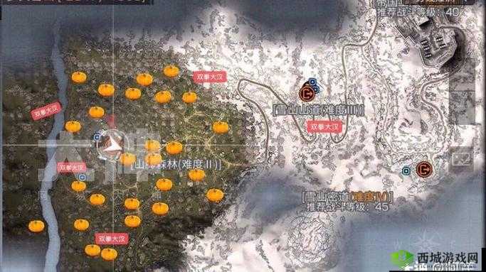 明日之后攻略，揭秘多贝雪山飞机位置与应对死亡惩罚的高效资源管理艺术