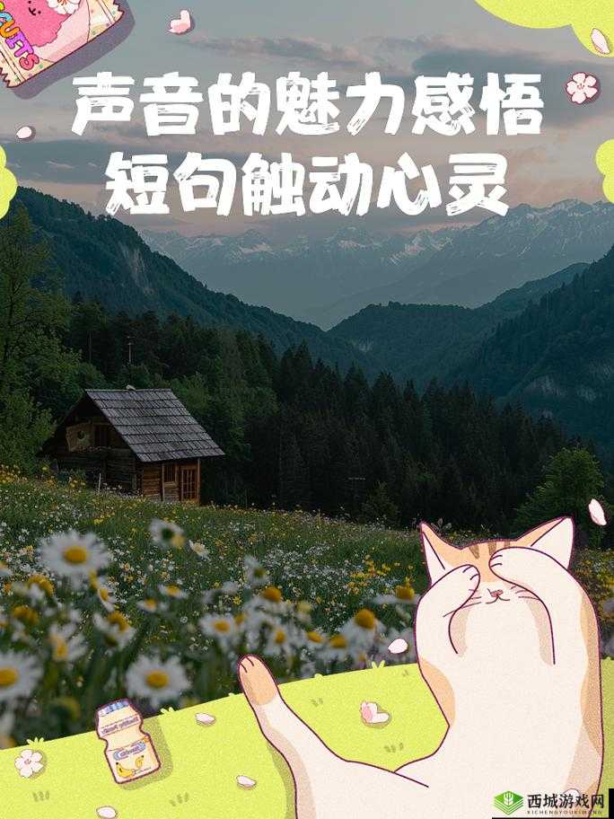 给老子叫老子要听：聆听内心最真实的声音和渴望