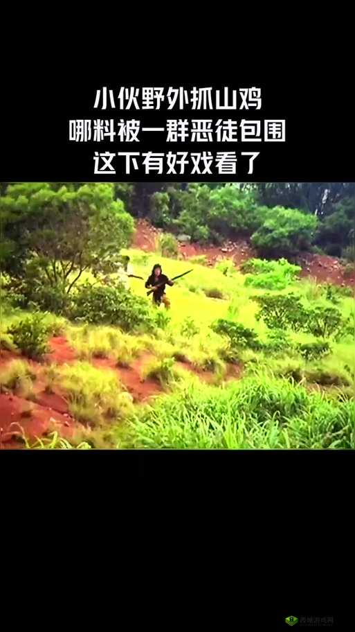 插曲的视频在线播放免费观看高清：海量精彩内容等你发现