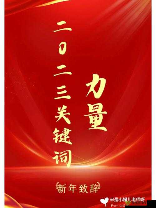 解析2025年春节时间背景下的生肖年信息，探讨关键词的力量与运用