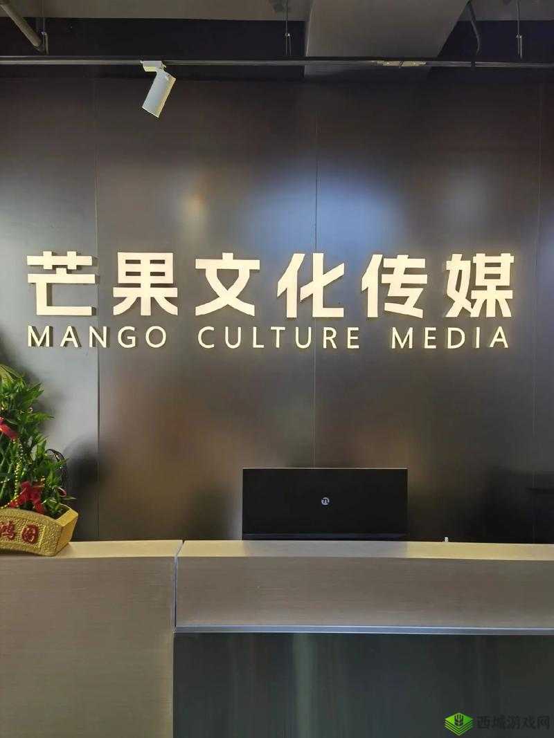 实力铸就非凡：91 传媒有限公司的辉煌历程