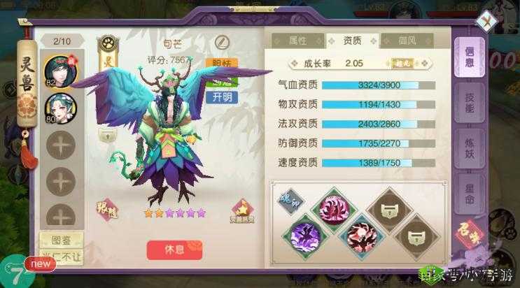山海异闻录天书伙伴选择策略，深度解析输出能力的关键要素