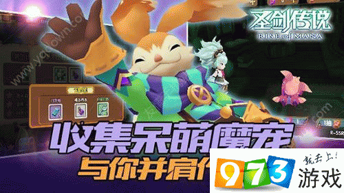 圣剑传说玛娜崛起，全面解析魔宠培养技巧与高效等级提升攻略