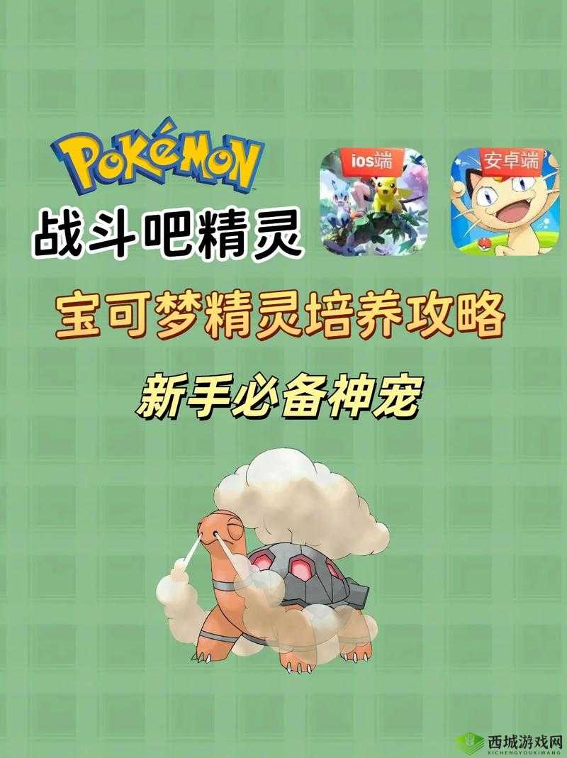 宝可萌原生精灵全面养成指南，掌握关键技巧，培养顶尖精灵伙伴