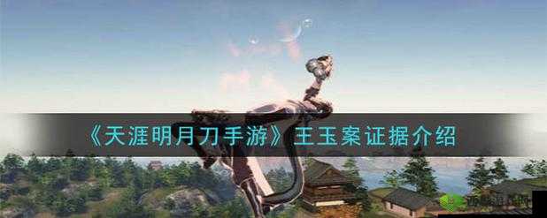 天涯明月刀手游王玉案，全面深度解析与高效通关攻略指南