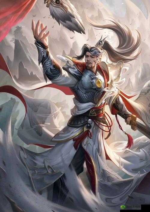 鸿图之下，深度剖析姜维的全面技能与实战应用策略